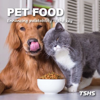 Attrezzature Automatizzate per la Concia nella Produzione di Cibo per Animali Domestici
